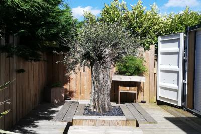 Voiture ancienne blanche décorée de fleurs blanches, stationnée sur un chemin près de vignes et d'un arbre.