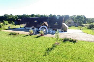 Chambre avec un lit double, tête de lit noire, tables de chevet, mur bleu et mobilier sombre sur un sol en parquet clair.