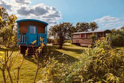 Tonneau en bois transformé en bar avec décoration végétale, verres et pancarte ’Servez-vous’ dans un jardin.