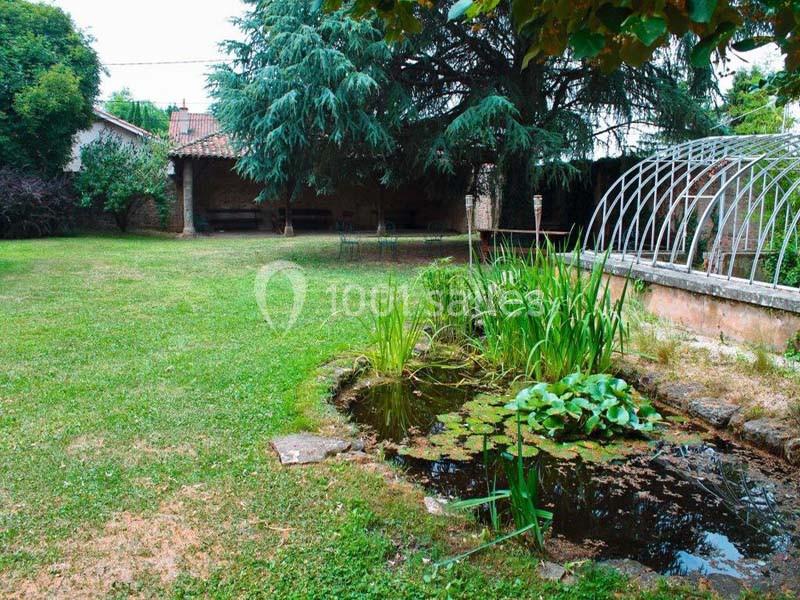 Jardin avec pelouse, petit étang entouré de végétation, arbres et structure métallique en arrière-plan.