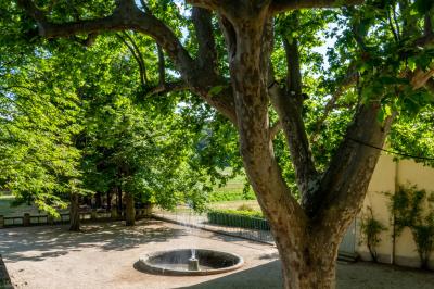 Location salle La Tour-d'Aigues (Vaucluse) - Domaine La Castelette #58