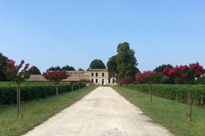 Maison des Vins de Graves - photo 2
