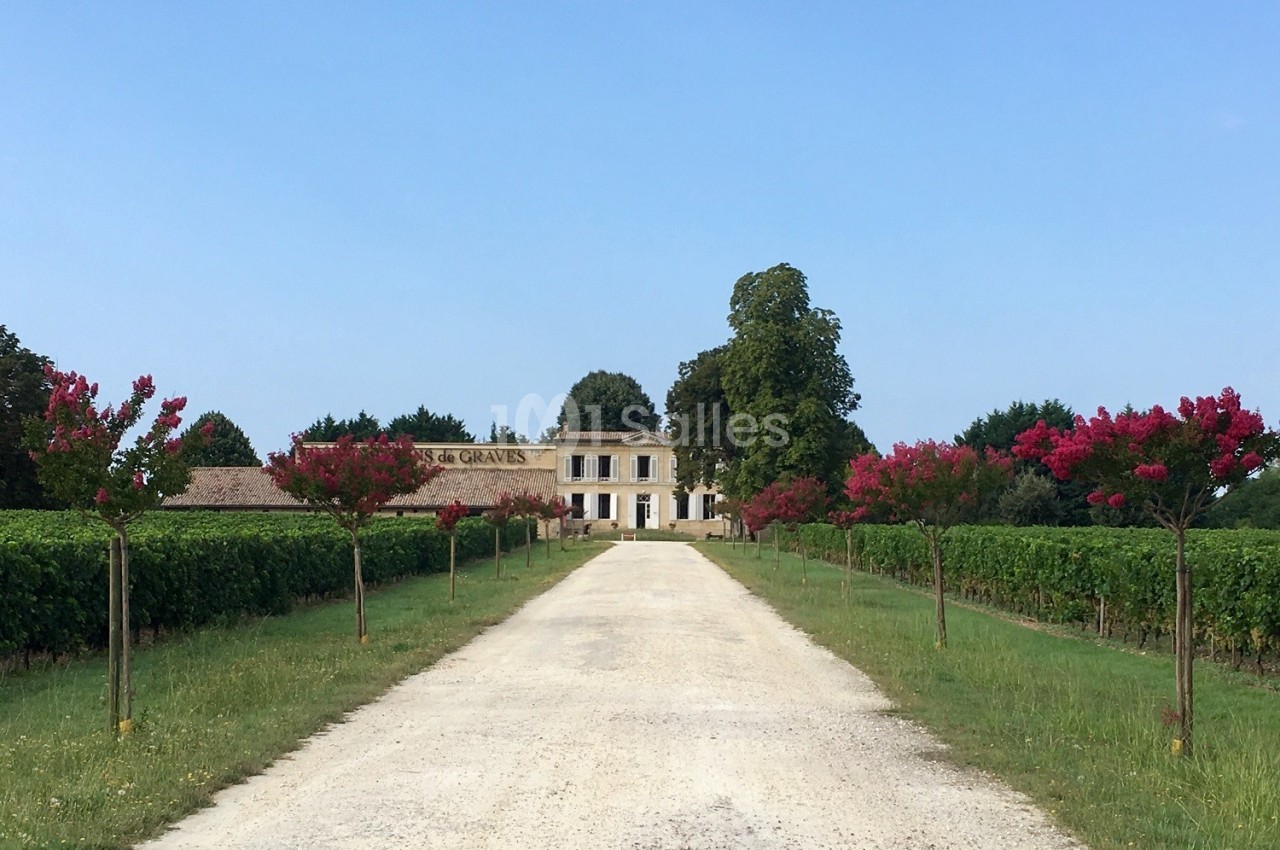 Allée bordée de vignes et de petits arbres fleuris menant à une maison en pierre sous un ciel dégagé.