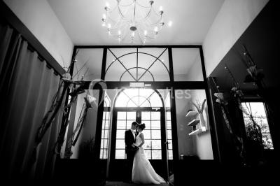 Plateau de fruits de mer et poissons décoré avec des crustacés, un requin et des éléments végétaux sur une table.