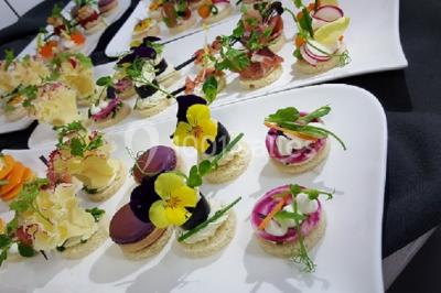 Plateau de fruits de mer et poissons décoré avec des crustacés, un requin et des éléments végétaux sur une table.