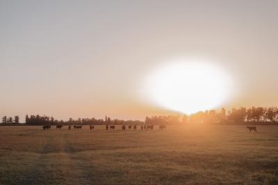 Miniature Location salle Saintes-Maries-de-la-Mer (Bouches-du-Rhône) - Le Sauvage, Domaine En Camargue #37 Location salle Saintes-Maries-de-la-Mer (Bouches-du-Rhône) - Le Sauvage, Domaine En Camargue #39