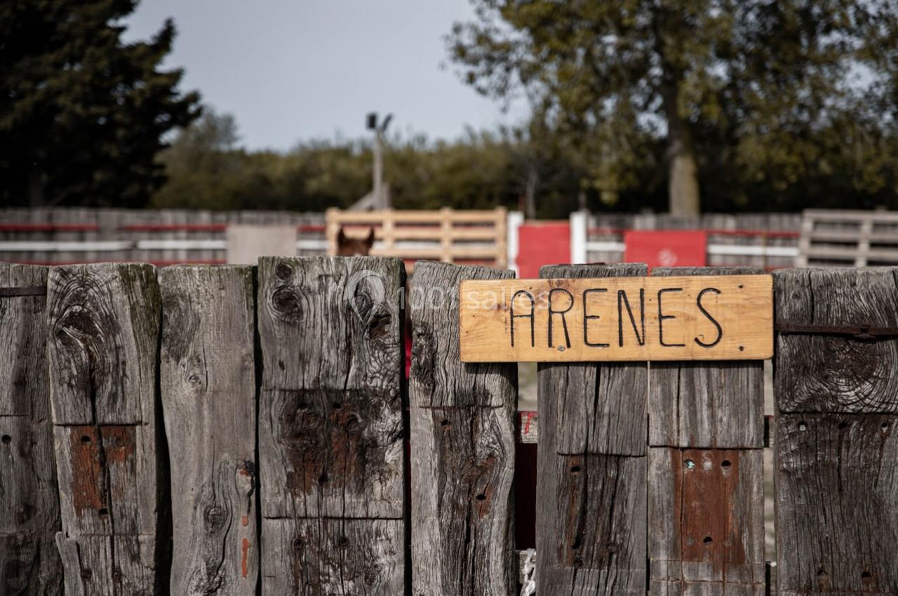 Location salle Saintes-Maries-de-la-Mer (Bouches-du-Rhône) - Le Sauvage, Domaine En Camargue #26 Location salle Saintes-Maries-de-la-Mer (Bouches-du-Rhône) - Le Sauvage, Domaine En Camargue #26