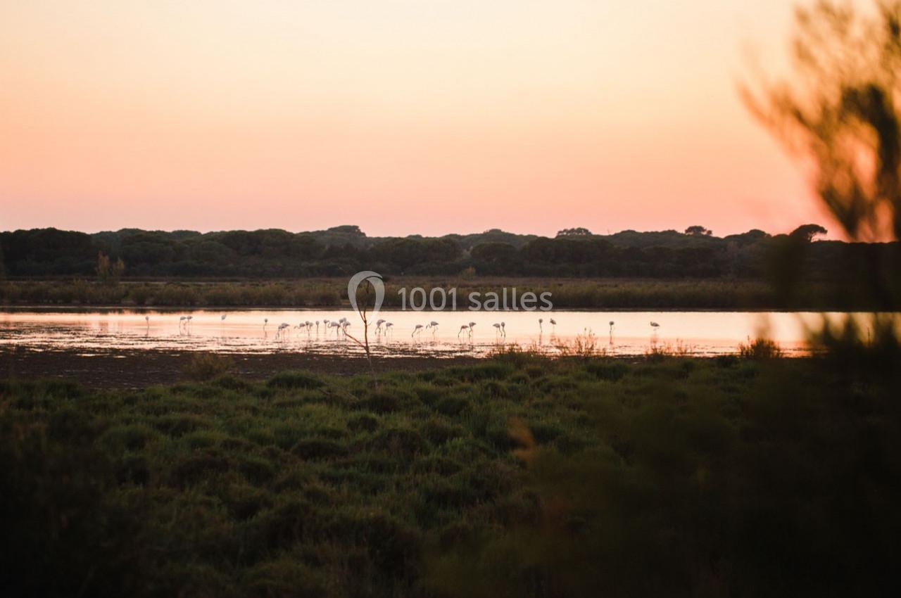 Location salle Saintes-Maries-de-la-Mer (Bouches-du-Rhône) - Le Sauvage, Domaine En Camargue #39 Location salle Saintes-Maries-de-la-Mer (Bouches-du-Rhône) - Le Sauvage, Domaine En Camargue #39