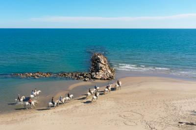 Miniature Location salle Saintes-Maries-de-la-Mer (Bouches-du-Rhône) - Le Sauvage, Domaine En Camargue #33 Location salle Saintes-Maries-de-la-Mer (Bouches-du-Rhône) - Le Sauvage, Domaine En Camargue #39
