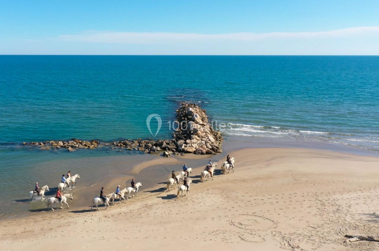Location salle Saintes-Maries-de-la-Mer (Bouches-du-Rhône) - Le Sauvage, Domaine En Camargue #33 Location salle Saintes-Maries-de-la-Mer (Bouches-du-Rhône) - Le Sauvage, Domaine En Camargue #33