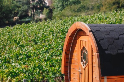 Location salle Thouaré-sur-Loire (Loire-Atlantique) - Réception Vignoble Marchais #33