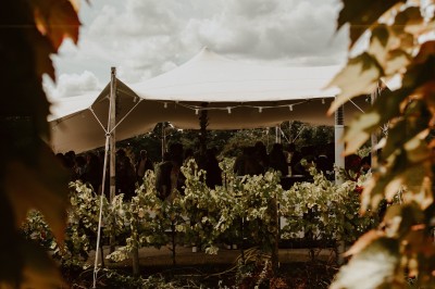 Location salle Thouaré-sur-Loire (Loire-Atlantique) - Réception Vignoble Marchais #33