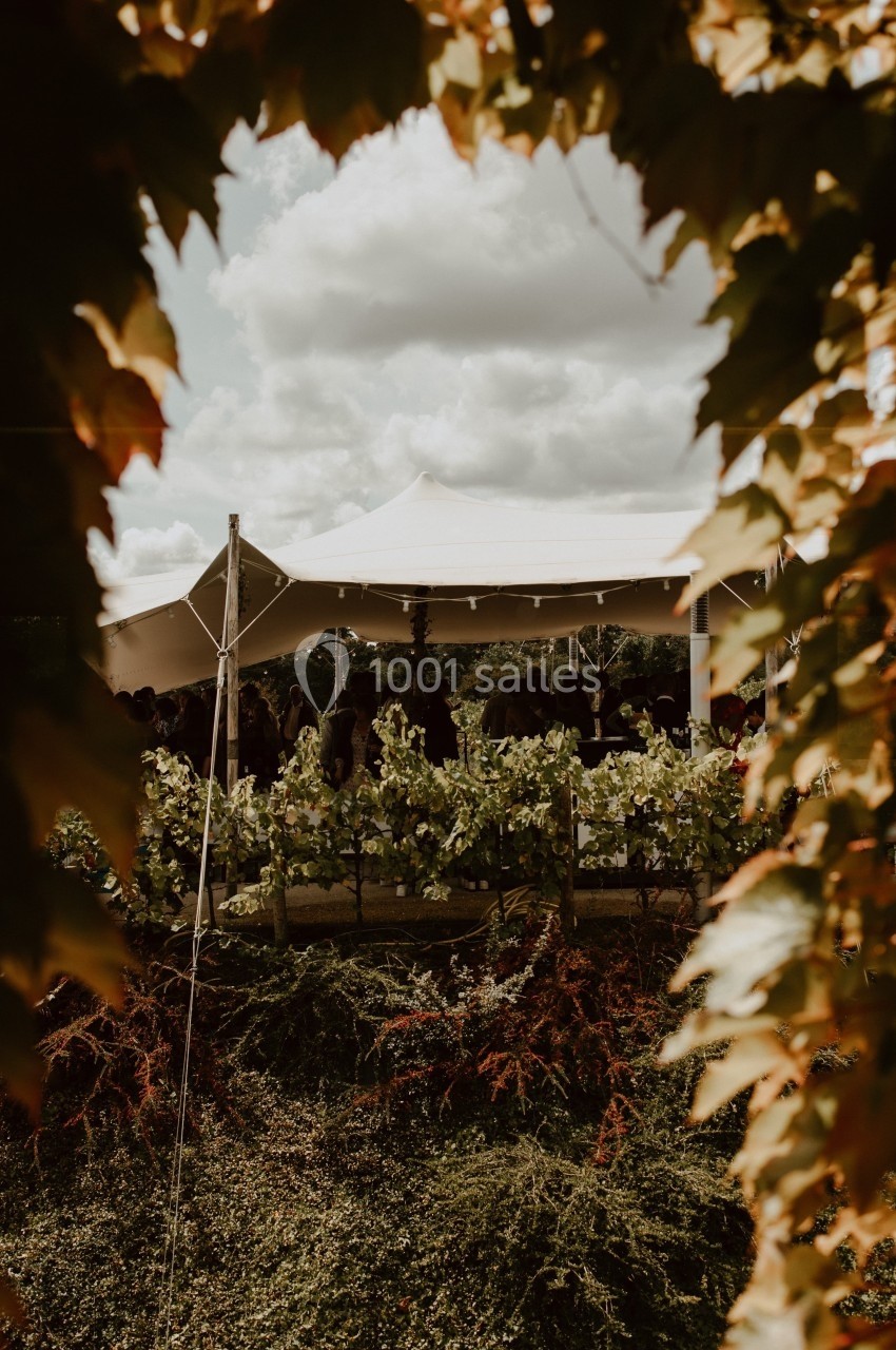 Location salle Thouaré-sur-Loire (Loire-Atlantique) - Réception Vignoble Marchais #3