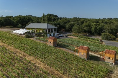 Location salle Thouaré-sur-Loire (Loire-Atlantique) - Réception Vignoble Marchais #33