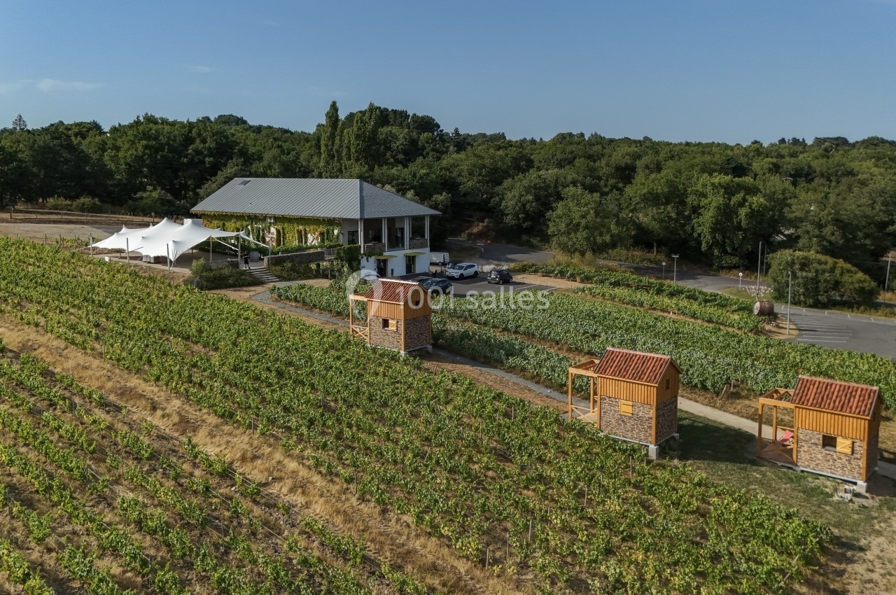 Location salle Thouaré-sur-Loire (Loire-Atlantique) - Réception Vignoble Marchais #5