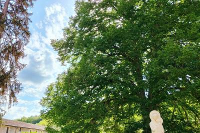 Miniature Location salle Béruges (Vienne) - Domaine de l'Abbaye du Pin #9 Location salle Béruges (Vienne) - Domaine de l'Abbaye du Pin #27