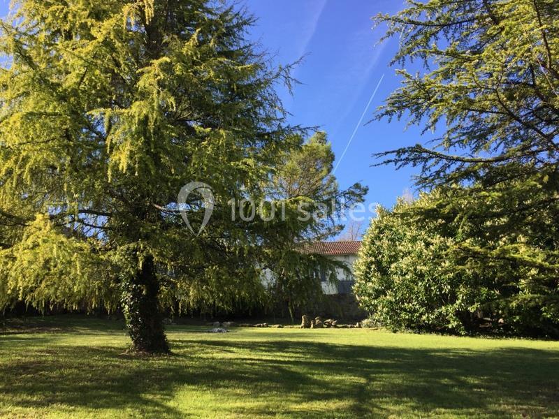 Location salle Archiac (Charente-Maritime) - Le Chai Pelletant #1