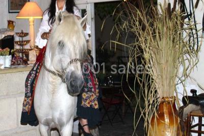 Location salle Aigues-Mortes (Gard) - Restaurant La Camargue #14