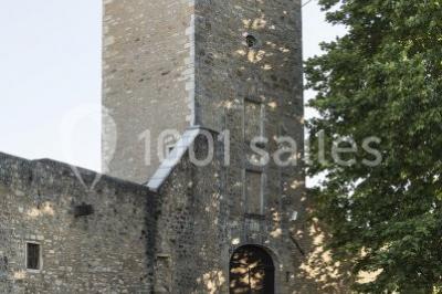 Location salle Saint-Bernard (Ain) - Château De Saint Bernard #23