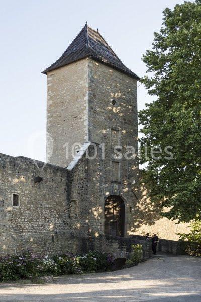 Location salle Saint-Bernard (Ain) - Château De Saint Bernard #4