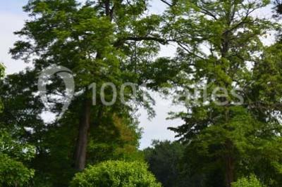 Location salle Saint-Aubin-de-Médoc (Gironde) - Le Caillavet #24