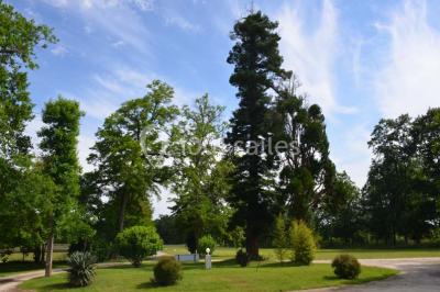 Location salle Saint-Aubin-de-Médoc (Gironde) - Le Caillavet #24