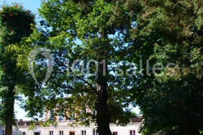 Location salle Saint-Aubin-de-Médoc (Gironde) - Le Caillavet #24