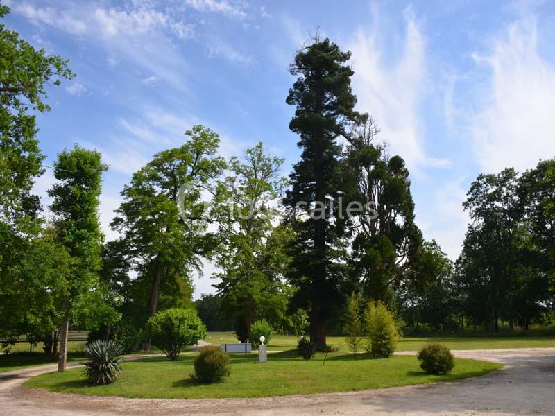 Location salle Saint-Aubin-de-Médoc (Gironde) - Le Caillavet #15