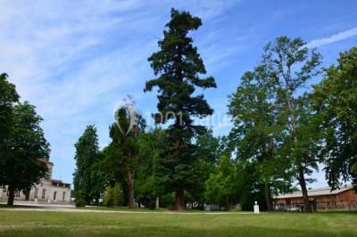 Location salle Saint-Aubin-de-Médoc (Gironde) - Le Caillavet #24