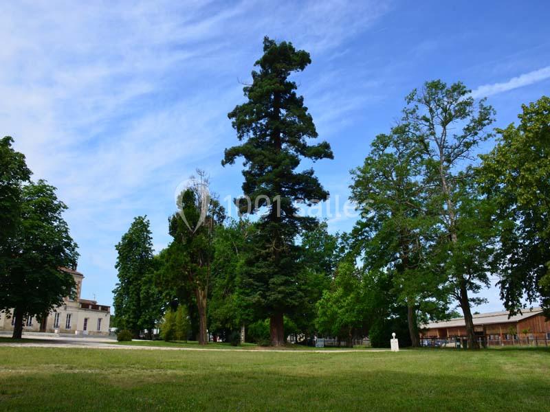 Location salle Saint-Aubin-de-Médoc (Gironde) - Le Caillavet #12