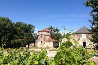 Château du Coing Château du Coing