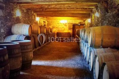 Location salle Saint-Fiacre-sur-Maine (Loire-Atlantique) - Château du Coing #13