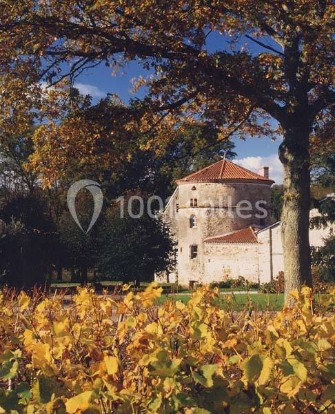 Location salle Saint-Fiacre-sur-Maine (Loire-Atlantique) - Château du Coing #9