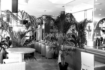 Location salle Massy (Essonne) - Les Terrasses De L'opéra #4