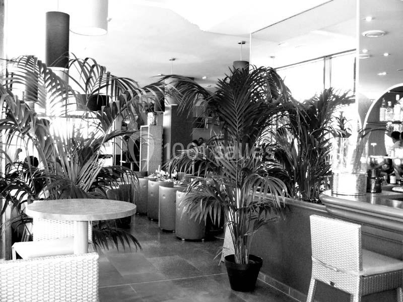Location salle Massy (Essonne) - Les Terrasses De L'opéra #3
