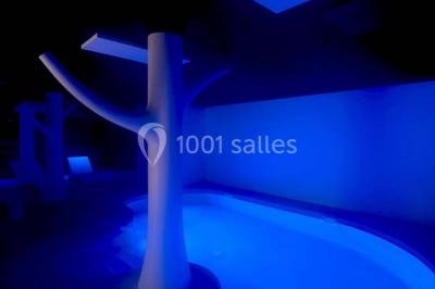 Location salle Gérardmer (Vosges) - Grand Hôtel & Spa Gérardmer #15