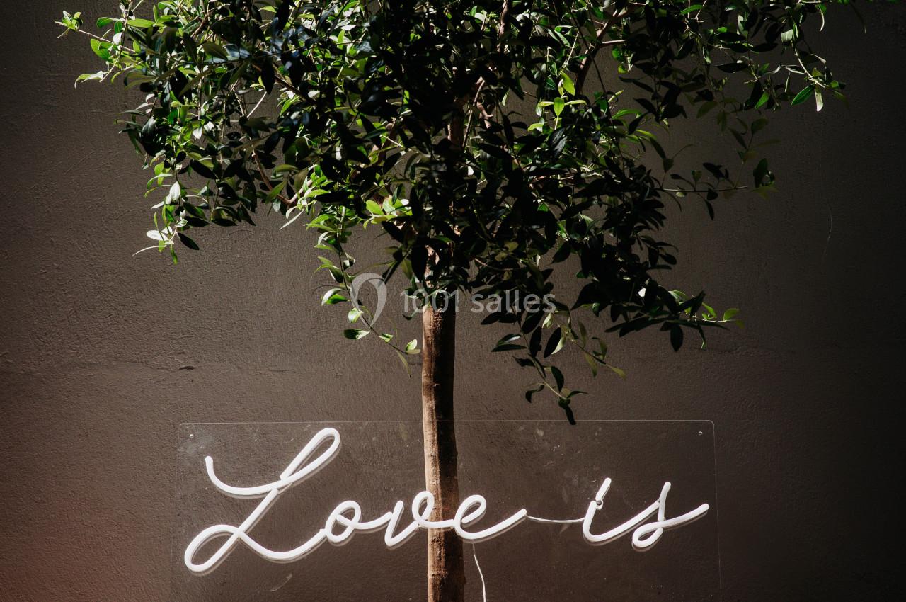Arbre en pot éclairé par une enseigne néon blanche indiquant ’Love is all’ dans un environnement sombre.