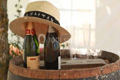 Location salle La Celle-Condé (Cher) - Pôle du Cheval et de l'Ane #19