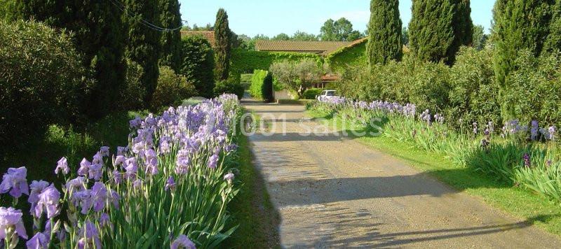 Location salle Fourques (Gard) - Domaine de la Tourette #7 Allée bordée de fleurs violettes et de cyprès menant à une maison entourée de verdure.