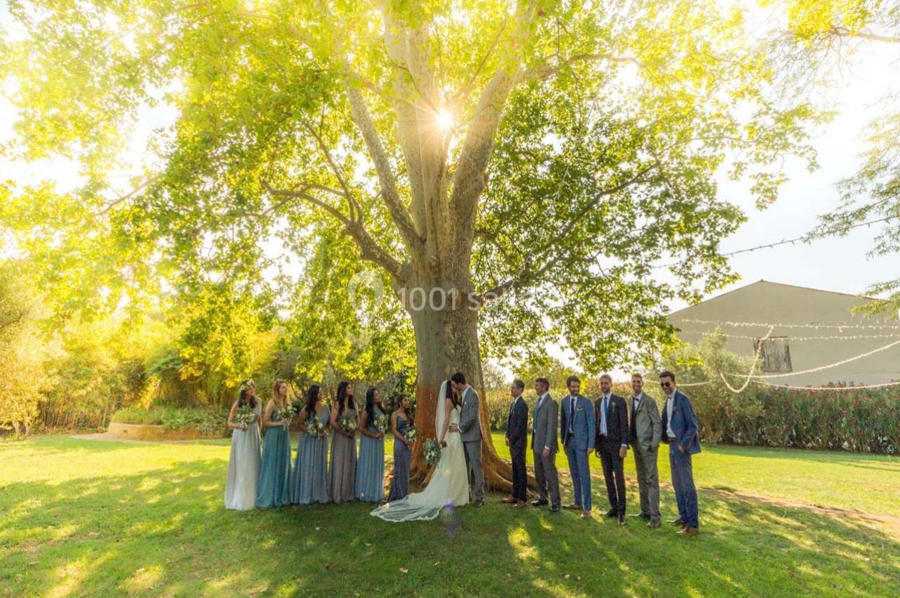 Location salle Fourques (Gard) - Domaine de la Tourette #10 Un groupe de personnes en tenue de cérémonie posant sous un grand arbre dans un jardin ensoleillé.
