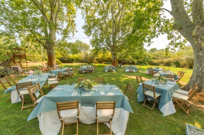 Arbre feuillu dans un jardin ensoleillé avec une structure de jeu pour enfants incluant un toboggan.