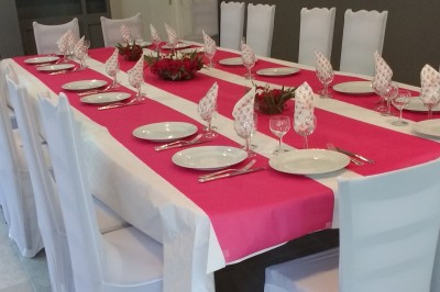 Arbre feuillu dans un jardin ensoleillé avec une structure de jeu pour enfants incluant un toboggan.