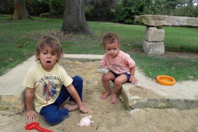 Arbre feuillu dans un jardin ensoleillé avec une structure de jeu pour enfants incluant un toboggan.