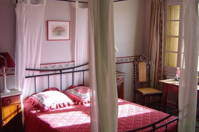 Arbre feuillu dans un jardin ensoleillé avec une structure de jeu pour enfants incluant un toboggan.