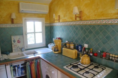 Arbre feuillu dans un jardin ensoleillé avec une structure de jeu pour enfants incluant un toboggan.