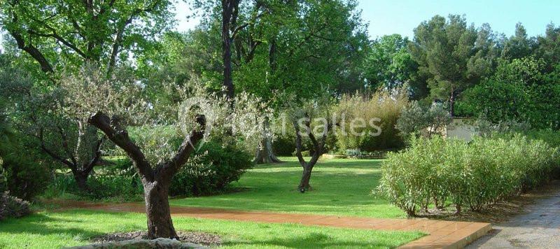 Jardin verdoyant avec des arbres, des arbustes et une allée pavée sous un ciel dégagé.