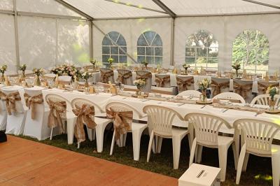 Arbre feuillu dans un jardin ensoleillé avec une structure de jeu pour enfants incluant un toboggan.