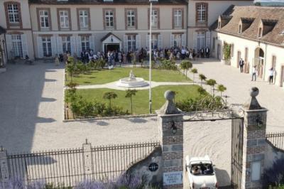 Parking extérieur avec plusieurs voitures stationnées, entouré d'arbres et offrant une vue dégagée au loin.