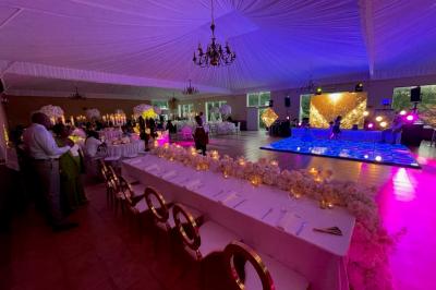 Parking extérieur avec plusieurs voitures stationnées, entouré d'arbres et offrant une vue dégagée au loin.