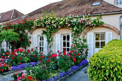 Parking extérieur avec plusieurs voitures stationnées, entouré d'arbres et offrant une vue dégagée sur l'horizon.